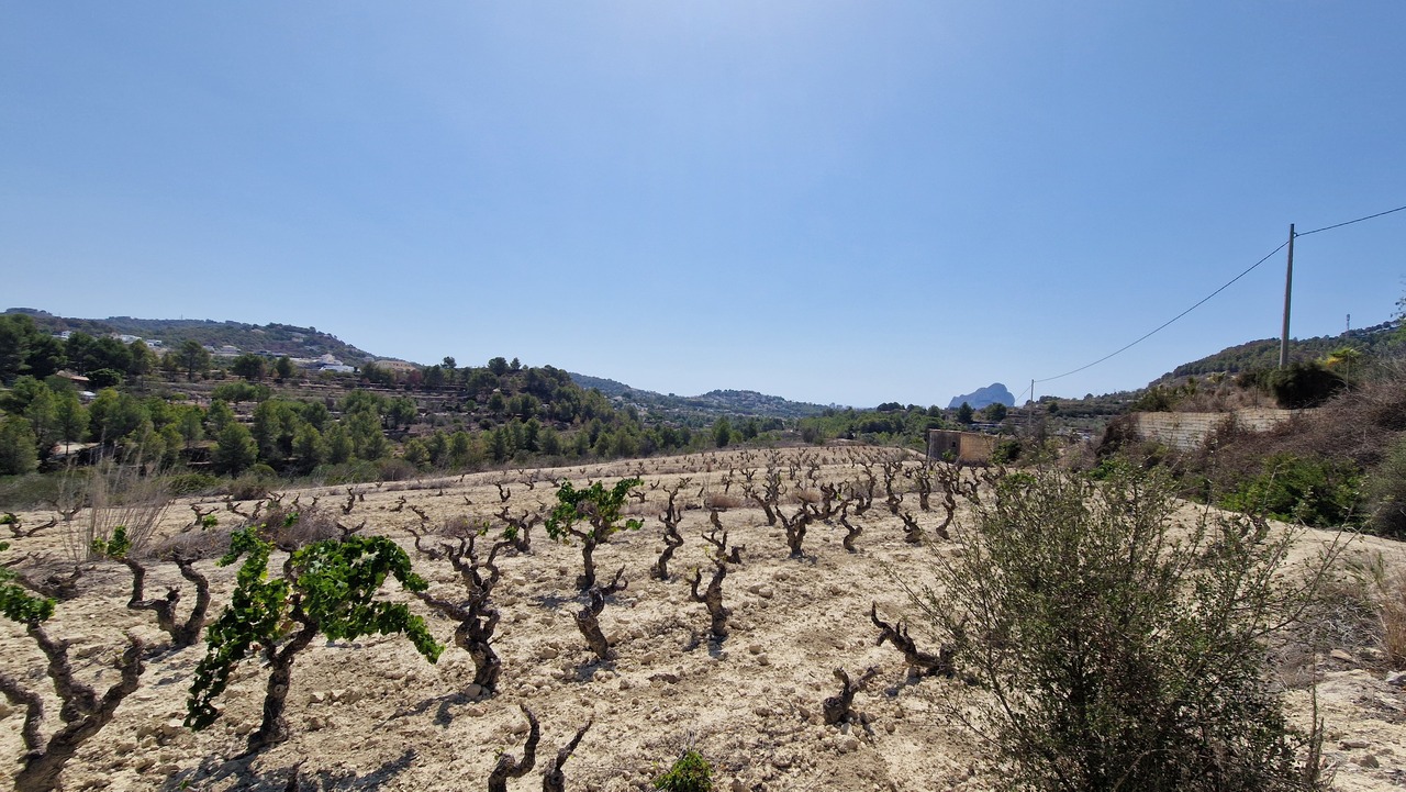 2117: Land  in Benissa