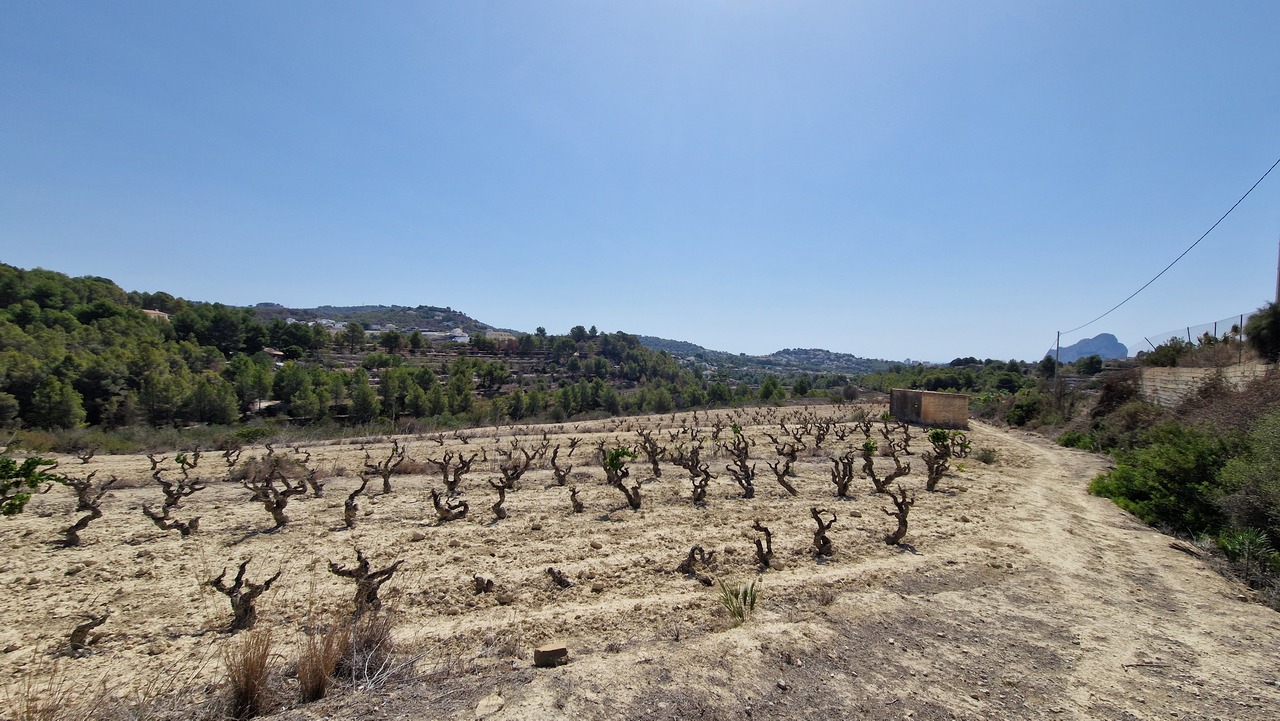 2117: Land  in Benissa