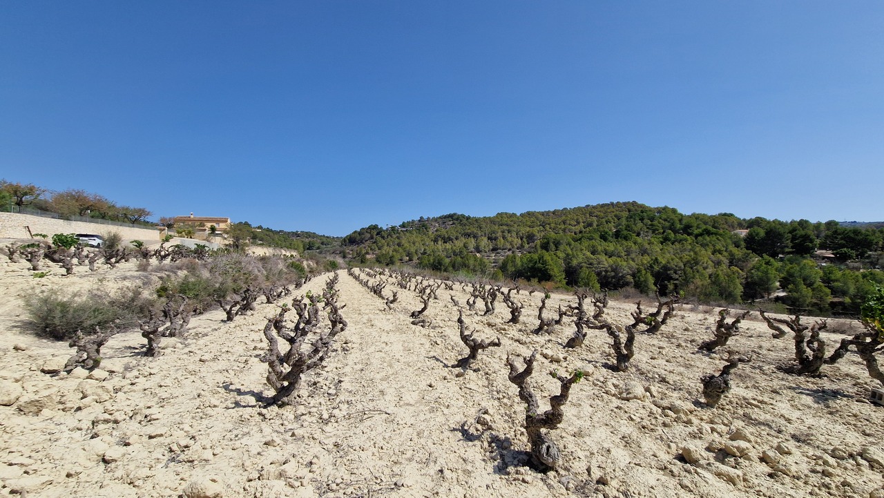 2117: Land  in Benissa