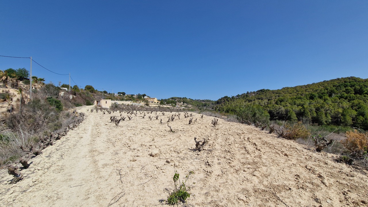 2117: Land  in Benissa