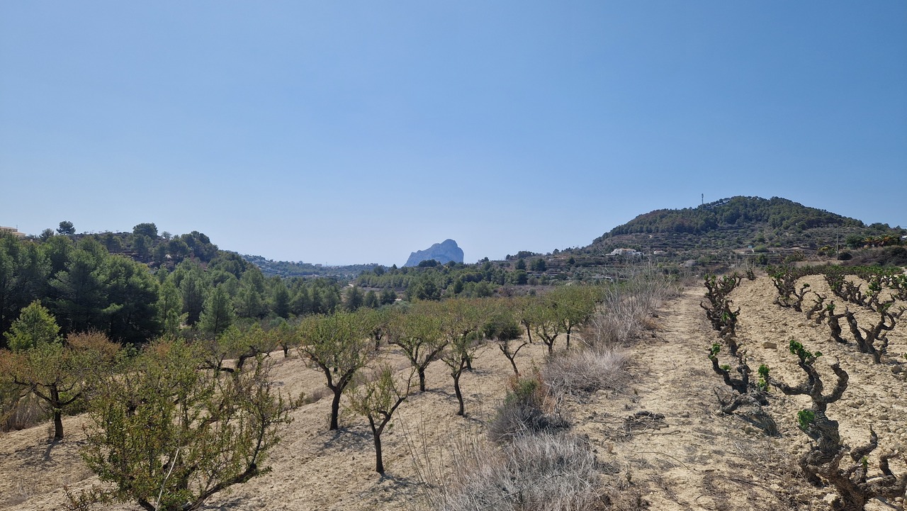 2117: Land  in Benissa