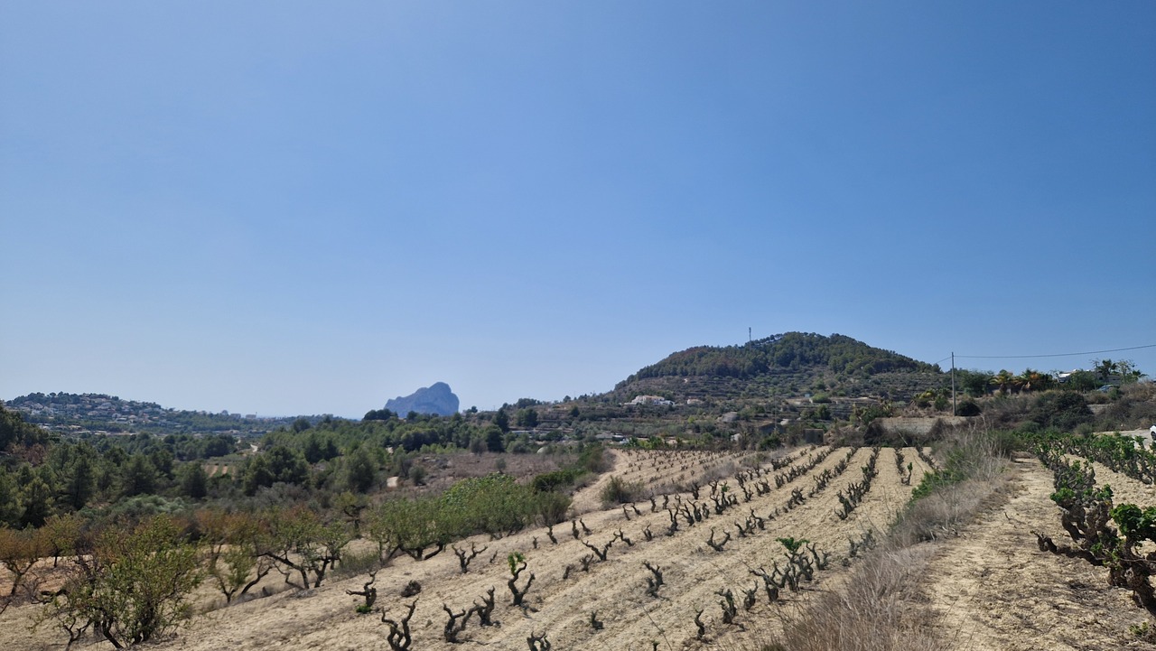 2117: Land  in Benissa
