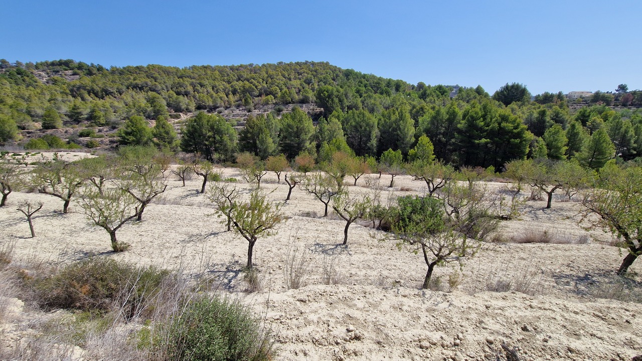 2117: Land  in Benissa