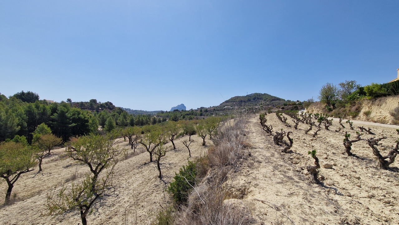 2117: Land  in Benissa
