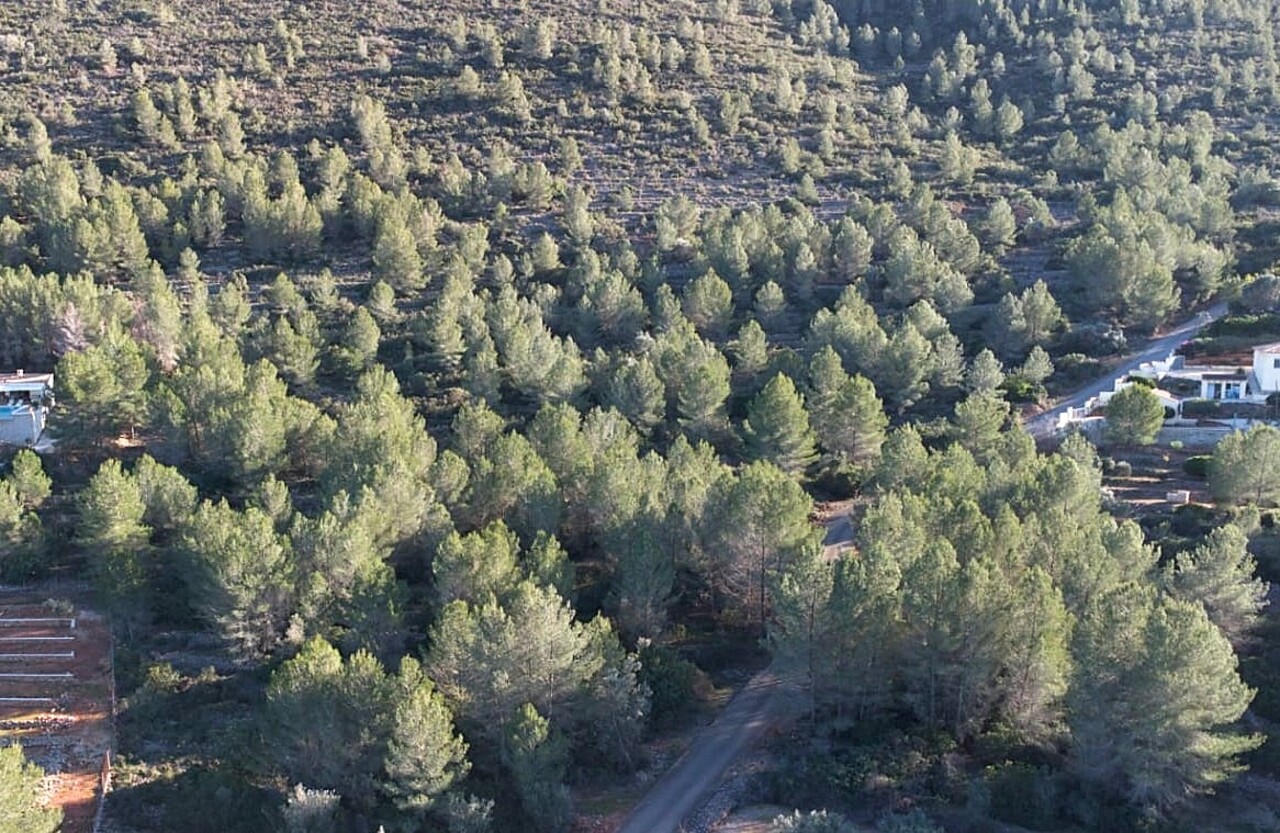 2195: Land  in Lliber