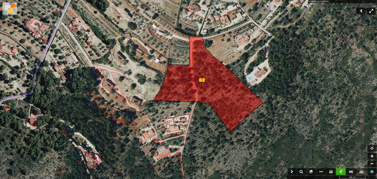 2195: Land  in Lliber