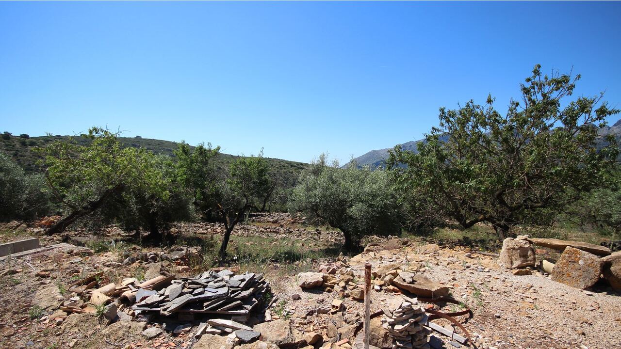 2391: Country House  in Lliber