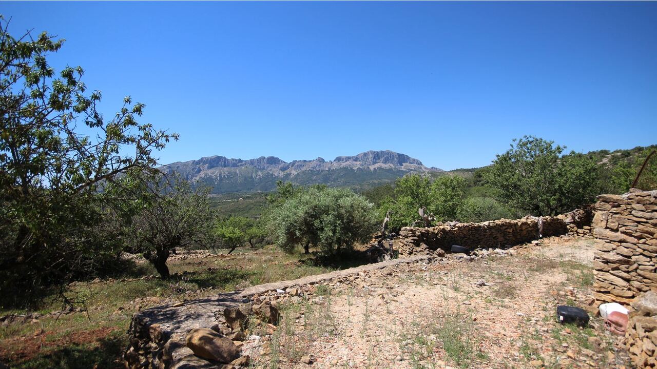 2391: Country House  in Lliber