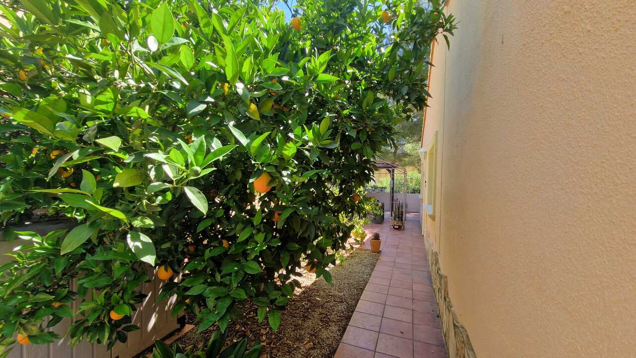2396: Villa  in Alcalali