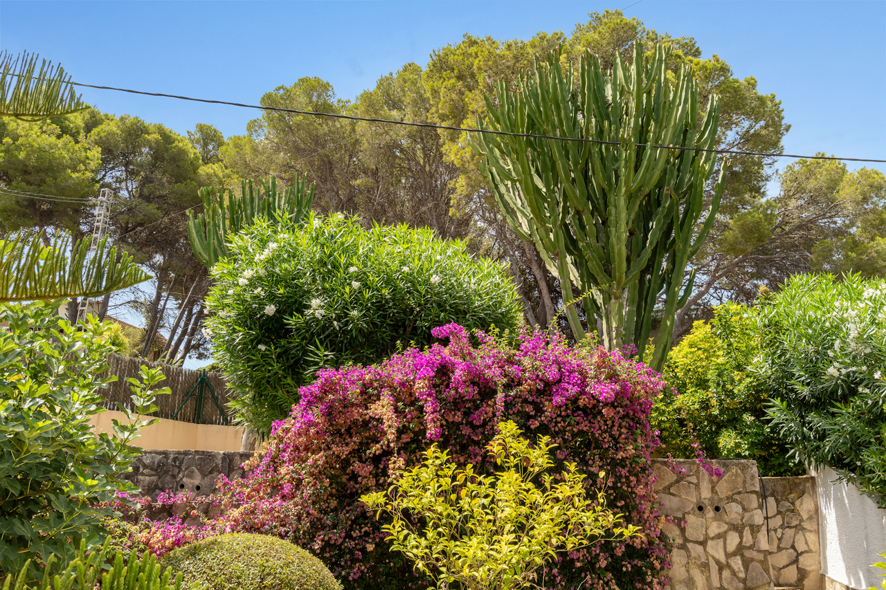 Villa à la vente à Javea