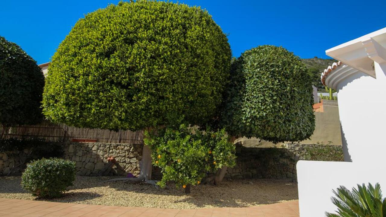 Villa in Jalon for sale in Alicante Costa Blanca Spain JA1591 Spanish