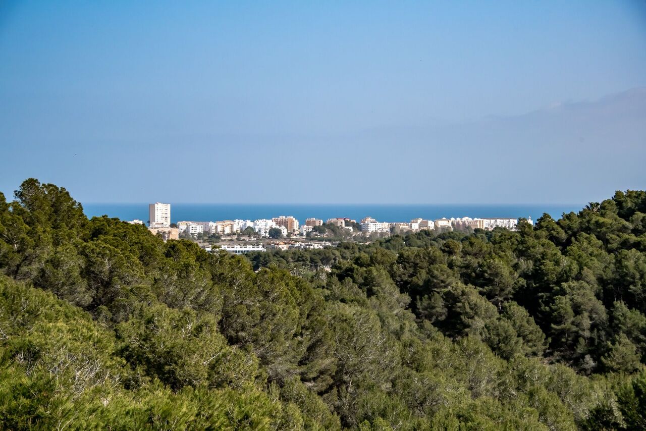 2616V: Villa  in Javea