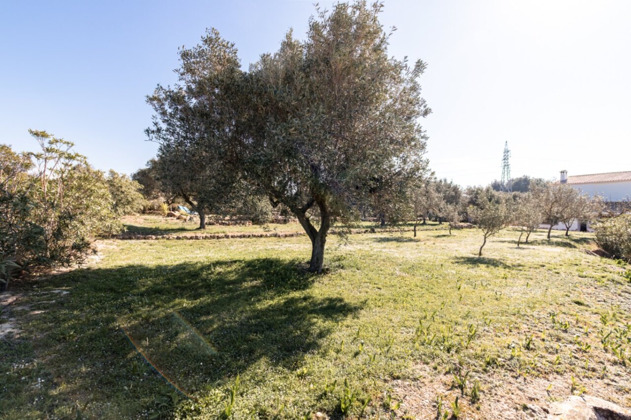 2610V-E: Country House  in Teulada