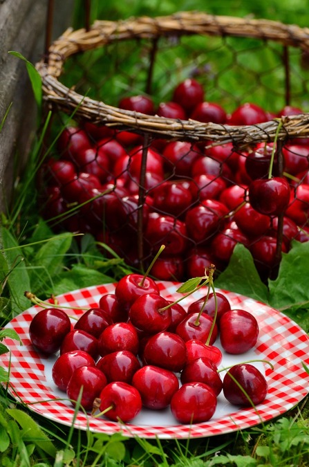 Life is just a bowl of cherries now in the Marina Alta! 6 reasons to buy them today...Spain News | Life is just a bowl of cherries now in the Marina Alta! 6 reasons to buy them today...
