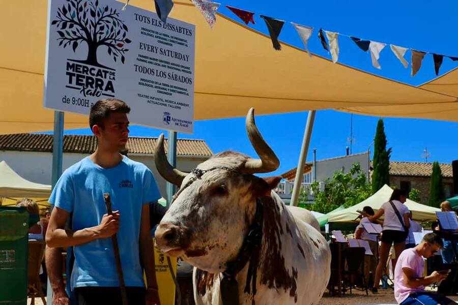 Mercat de la Terra- A very enjoyable way to support local farmers and artisan products!Local News | Mercat de la Terra- A very enjoyable way to support local farmers and artisan products!