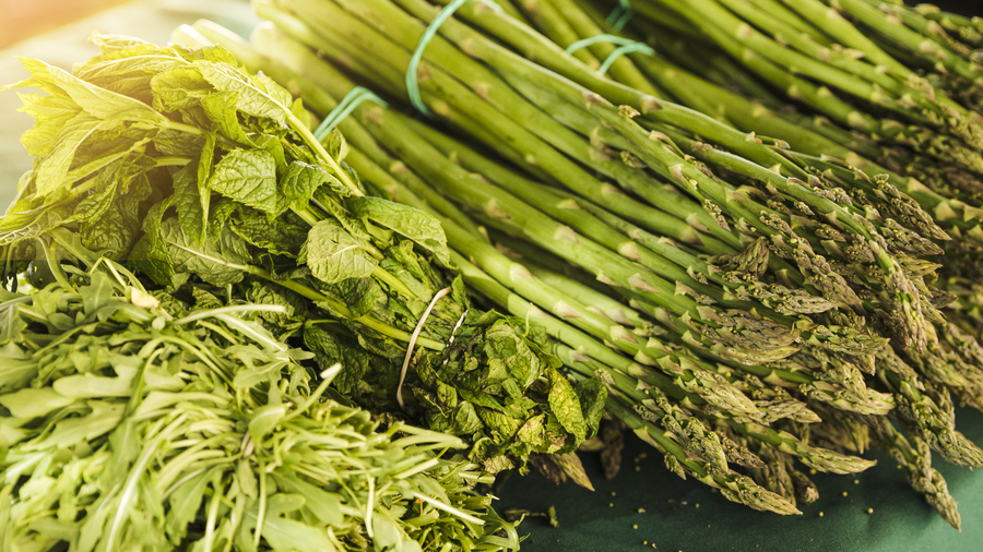 Finding treasure on your morning walk- foraging for physical and mental health.Local News | Finding treasure on your morning walk- foraging for physical and mental health.